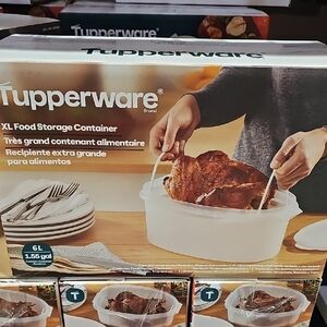 Tupperware XL White Food Storage Container